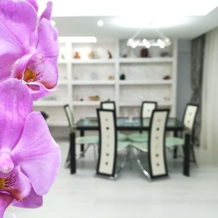 Paradise Apartament Brassó Kültér fotó