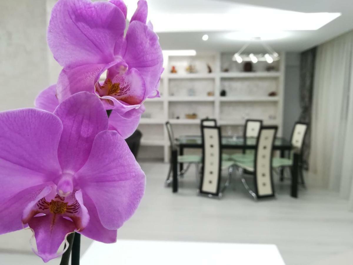 Paradise Apartament Brassó Kültér fotó